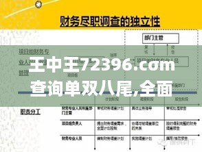 王中王72396.cσm查询单双八尾,全面性解释说明_PEN2.30