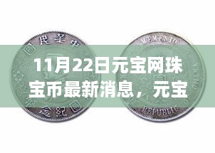 元宝网珠宝币最新动态解析，特性、体验、竞品对比与用户洞察