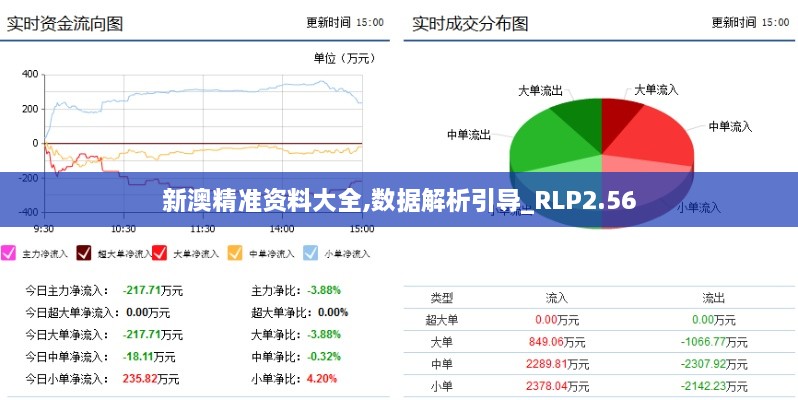 新澳精准资料大全,数据解析引导_RLP2.56