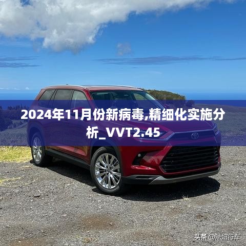 2024年11月份新病毒,精细化实施分析_VVT2.45