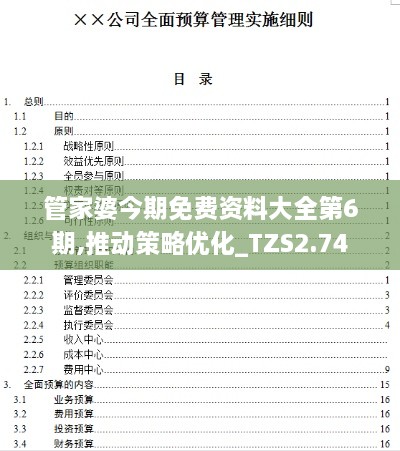 管家婆今期免费资料大全第6期,推动策略优化_TZS2.74