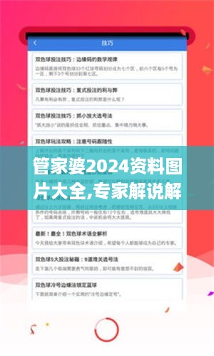 管家婆2024资料图片大全,专家解说解释定义_RZN2.77