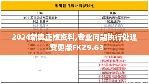 2024新奥正版资料,专业问题执行处理_变更版FKZ9.63