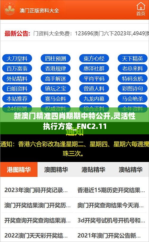 新澳门精准四肖期期中特公开,灵活性执行方案_FNC2.11