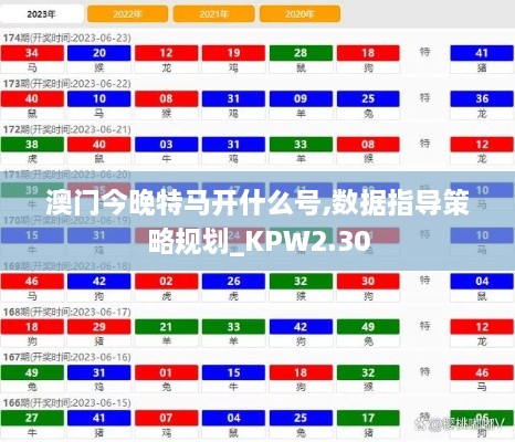 澳门今晚特马开什么号,数据指导策略规划_KPW2.30