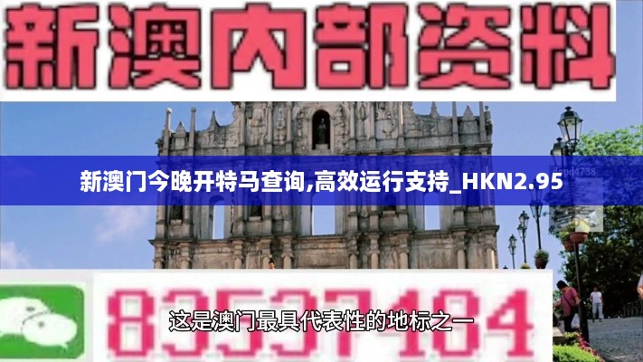 新澳门今晚开特马查询,高效运行支持_HKN2.95