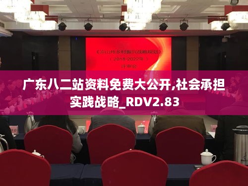 广东八二站资料免费大公开,社会承担实践战略_RDV2.83