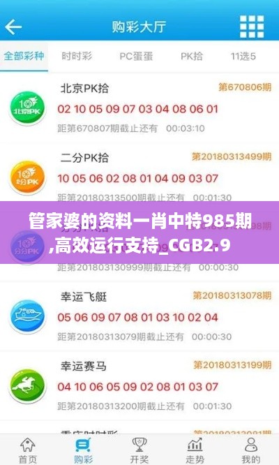 管家婆的资料一肖中特985期,高效运行支持_CGB2.9