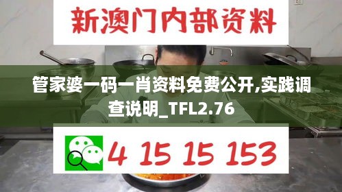 管家婆一码一肖资料免费公开,实践调查说明_TFL2.76