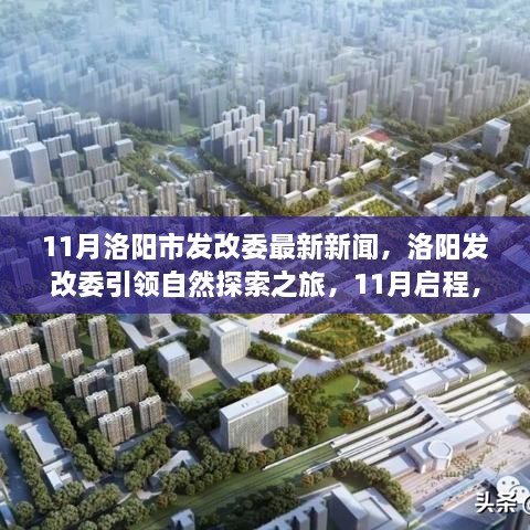 洛阳市发改委引领自然探索之旅，启程寻找宁静与乐趣的十一月新篇章