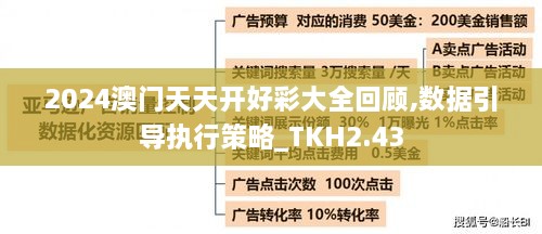 2024澳门天天开好彩大全回顾,数据引导执行策略_TKH2.43