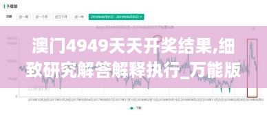 澳门4949天天开奖结果,细致研究解答解释执行_万能版RXV4.12