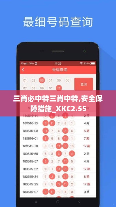 三肖必中特三肖中特,安全保障措施_XKC2.55