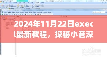 探秘小巷深处的宝藏，特色小店Excel最新教程之旅（2024年11月22日）