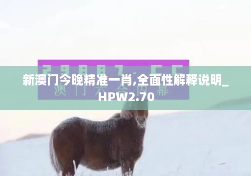 新澳门今晚精准一肖,全面性解释说明_HPW2.70