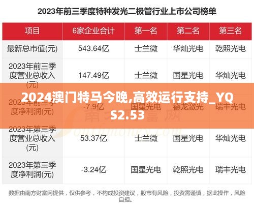 2024澳门特马今晚,高效运行支持_YQS2.53