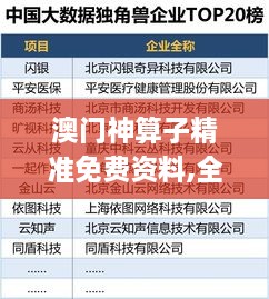 澳门神算子精准免费资料,全方位展开数据规划_BQG2.16