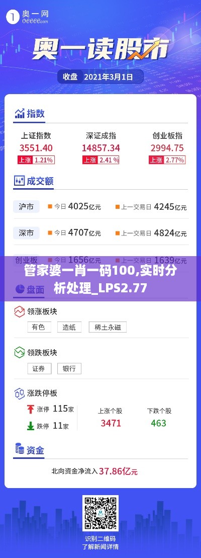 管家婆一肖一码100,实时分析处理_LPS2.77