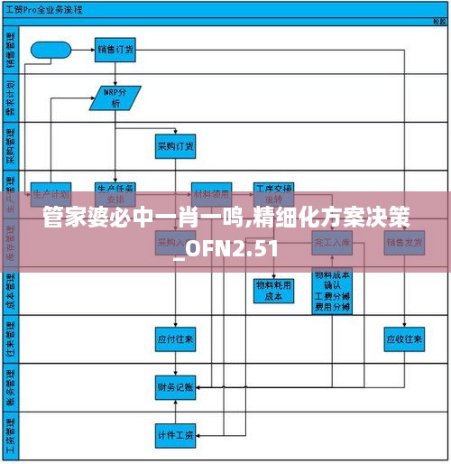 管家婆必中一肖一鸣,精细化方案决策_OFN2.51