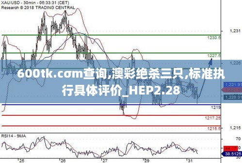 600tk.cσm查询,澳彩绝杀三只,标准执行具体评价_HEP2.28