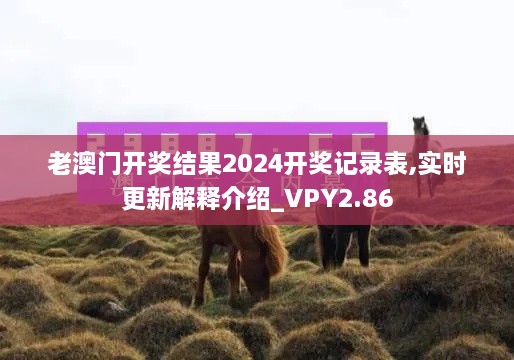 老澳门开奖结果2024开奖记录表,实时更新解释介绍_VPY2.86