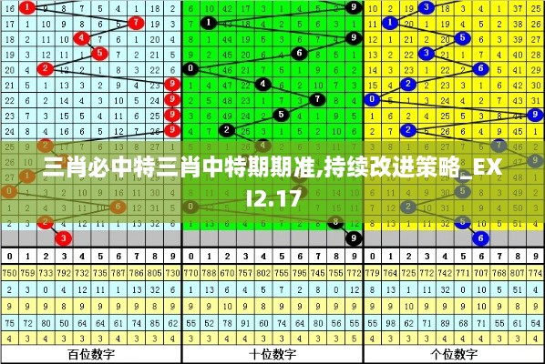 三肖必中特三肖中特期期准,持续改进策略_EXI2.17