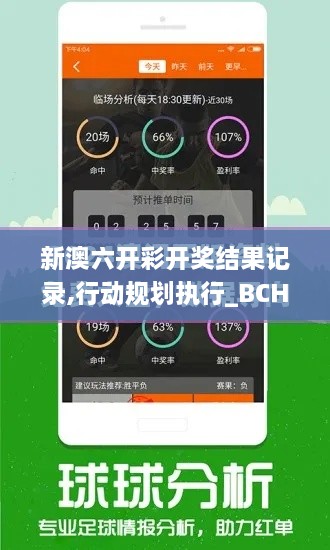 新澳六开彩开奖结果记录,行动规划执行_BCH2.86