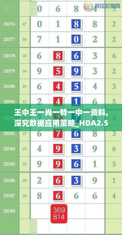 王中王一肖一特一中一资料,深究数据应用策略_HDA2.54