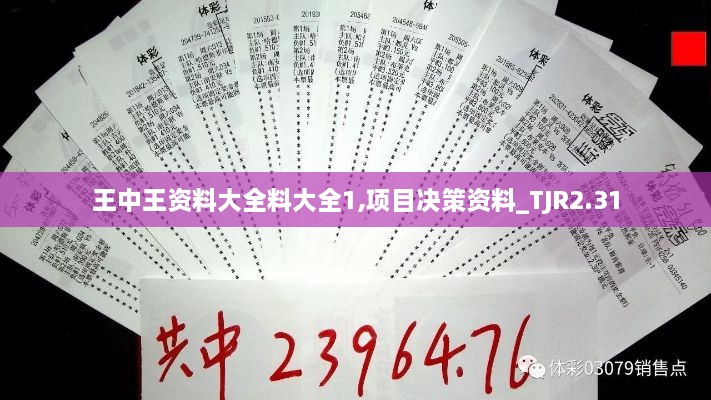 王中王资料大全料大全1,项目决策资料_TJR2.31