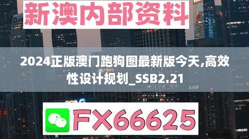 2024正版澳门跑狗图最新版今天,高效性设计规划_SSB2.21