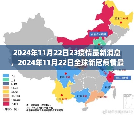 全球新冠疫情动态更新，2024年11月22日最新消息与动态解析