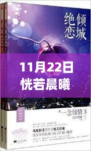 11月22日晨曦之光，最新小说测评与文字世界的照亮