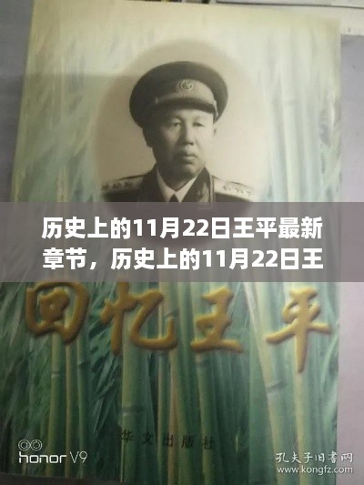 历史上的11月22日王平最新章节深度解析与介绍