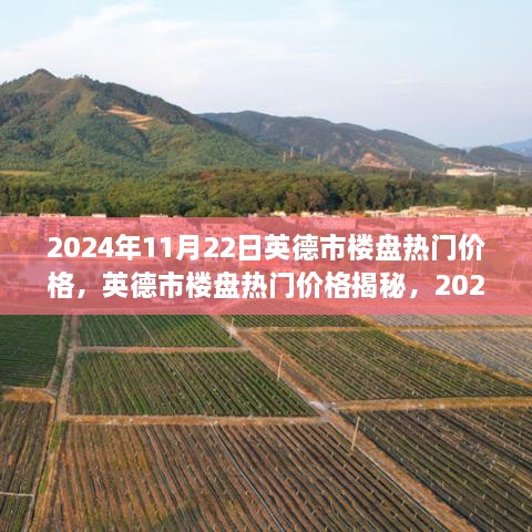 2024年11月22日英德市楼盘热门价格回顾与展望，揭秘市场趋势