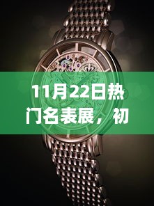 11月22日热门名表展，初学者与进阶用户全攻略参与指南