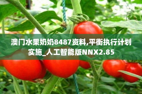 澳门水果奶奶8487资料,平衡执行计划实施_人工智能版NNX2.85