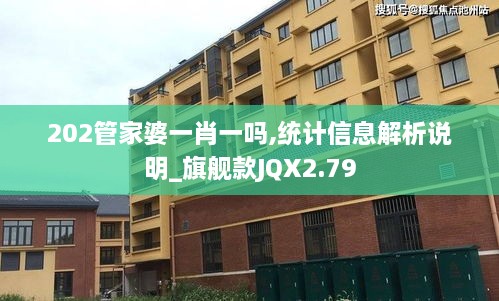 202管家婆一肖一吗,统计信息解析说明_旗舰款JQX2.79