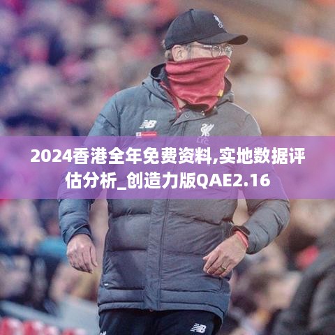 2024香港全年免费资料,实地数据评估分析_创造力版QAE2.16