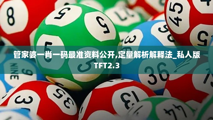 管家婆一肖一码最准资料公开,定量解析解释法_私人版TFT2.3