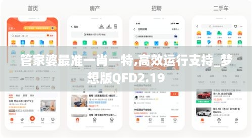 管家婆最准一肖一特,高效运行支持_梦想版QFD2.19