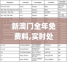 新澳门全年免费料,实时处理解答计划_职业版DTW2.42