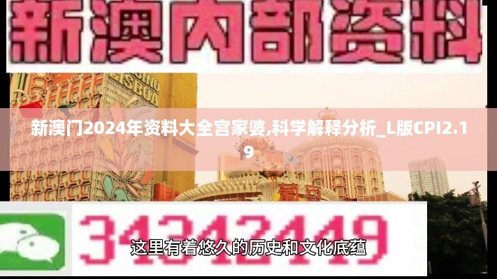 新澳门2024年资料大全宫家婆,科学解释分析_L版CPI2.19