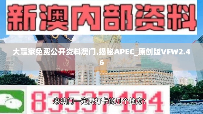 大赢家免费公开资料澳门,揭秘APEC_原创版VFW2.46