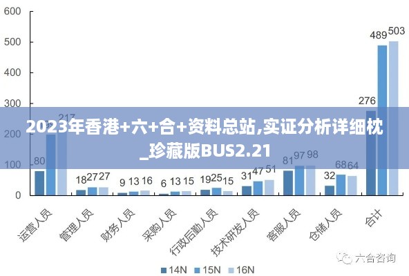 2023年香港+六+合+资料总站,实证分析详细枕_珍藏版BUS2.21