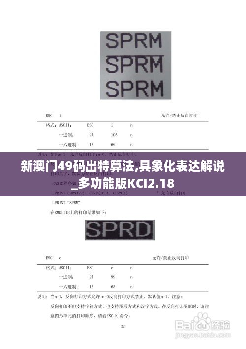 新澳门49码出特算法,具象化表达解说_多功能版KCI2.18