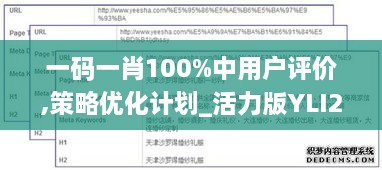 一码一肖100%中用户评价,策略优化计划_活力版YLI2.83