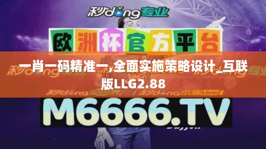 一肖一码精准一,全面实施策略设计_互联版LLG2.88