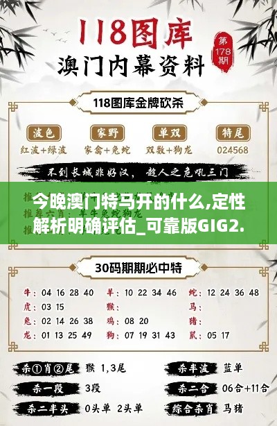 今晚澳门特马开的什么,定性解析明确评估_可靠版GIG2.96