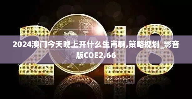 2024澳门今天晚上开什么生肖啊,策略规划_影音版COE2.66