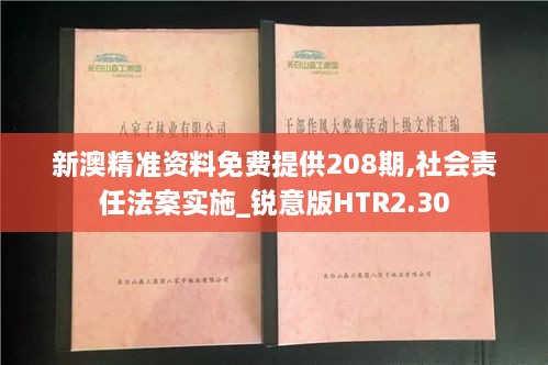 新澳精准资料免费提供208期,社会责任法案实施_锐意版HTR2.30